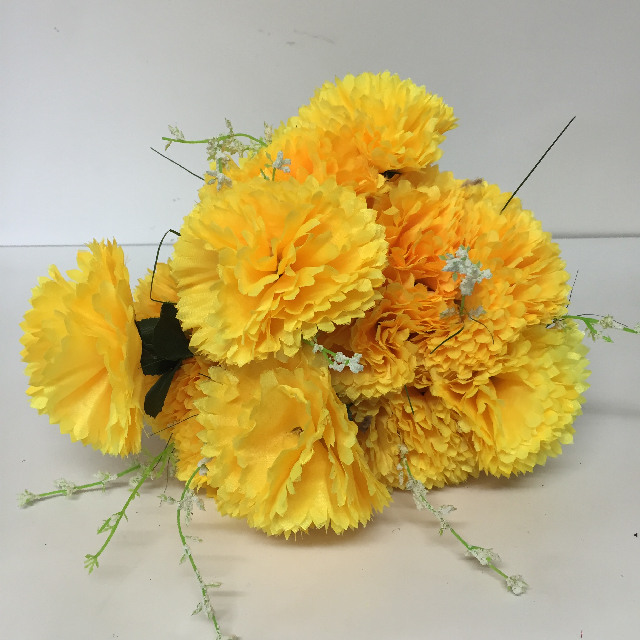 FLOWER, Carnation - Yellow